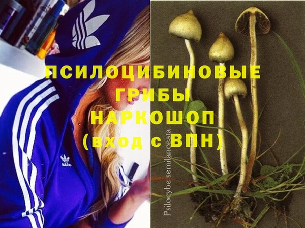 ALPHA-PVP Белокуриха
